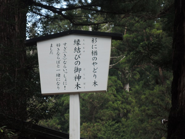 e0087008_10544359.jpg