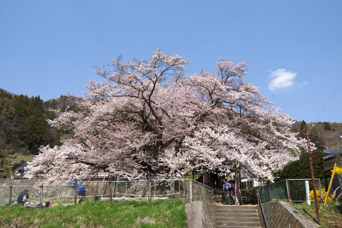 a0263109_1241484.jpg