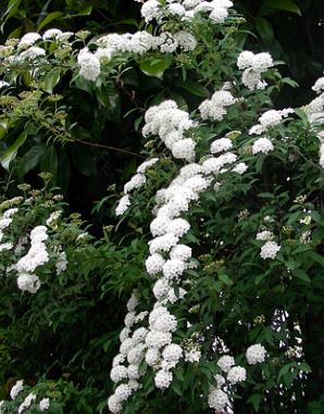 f0231709_162265.jpg