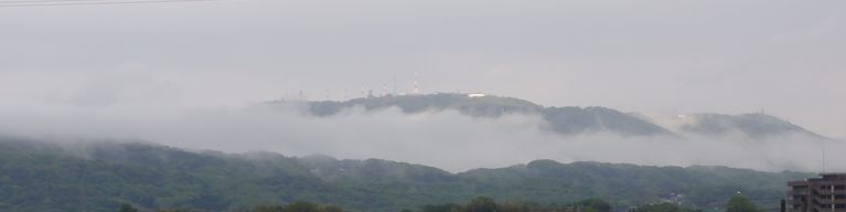 d0330311_8342624.jpg