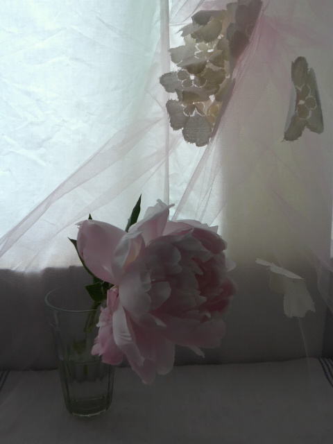 b0183914_14213388.jpg