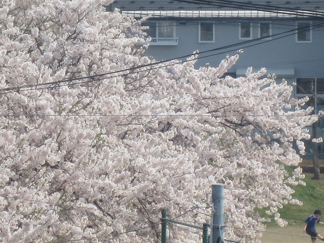 f0248616_20272516.jpg