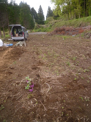 f0031420_6472511.jpg