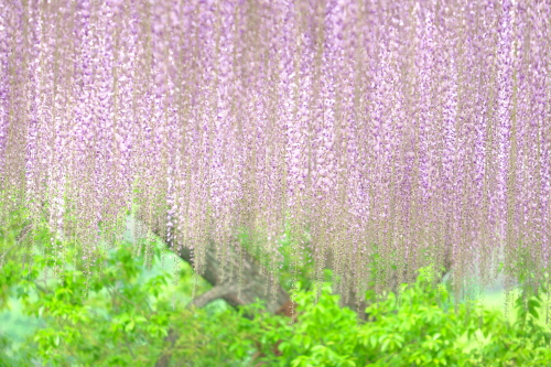 f0333031_10022279.jpg