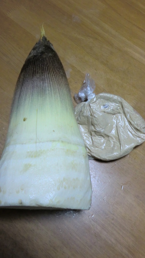 c0236632_7593717.jpg