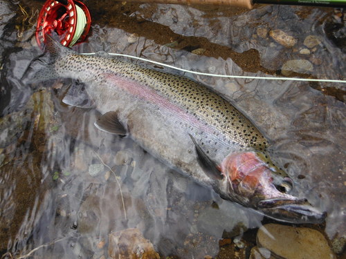 e0262235_2112110.jpg