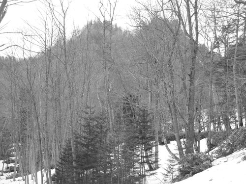 e0262235_2147254.jpg