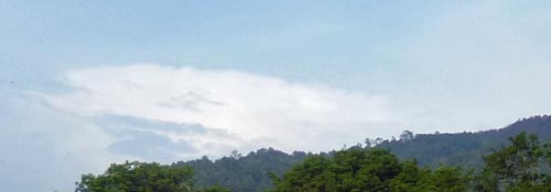 b0063436_10203382.jpg