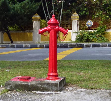 b0063436_10262790.jpg