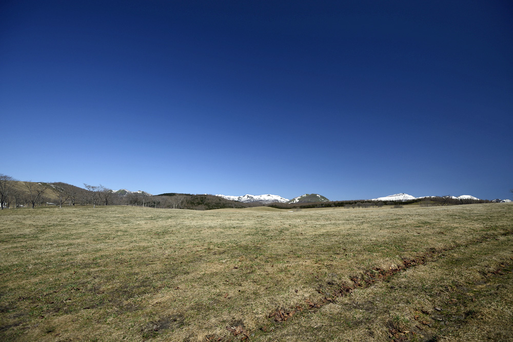 c0221838_6522639.jpg