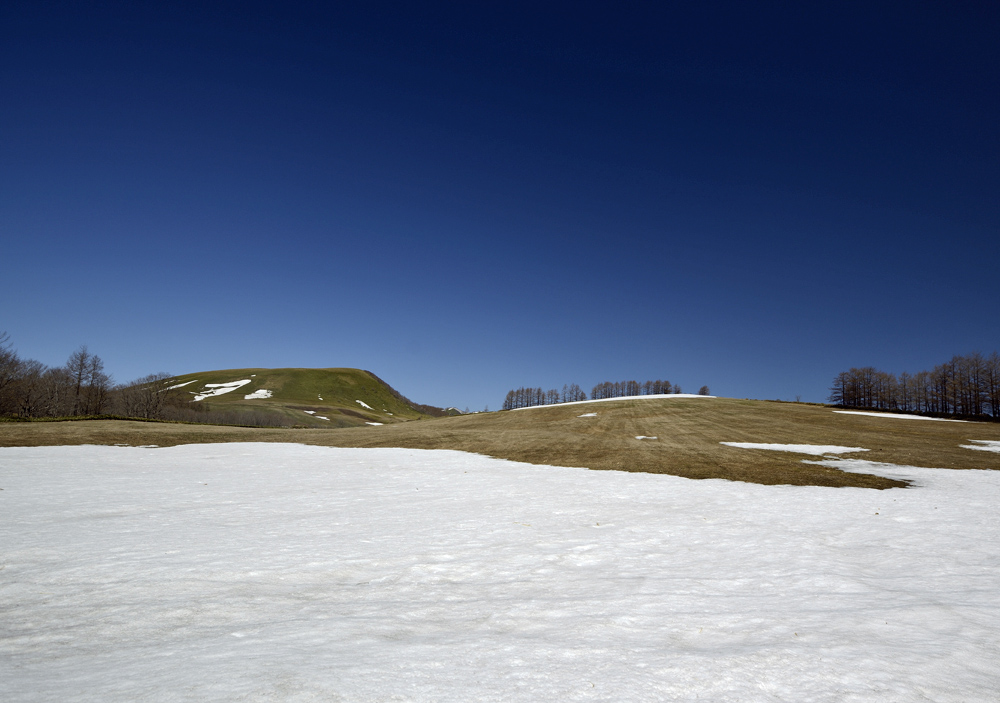 c0221838_652439.jpg