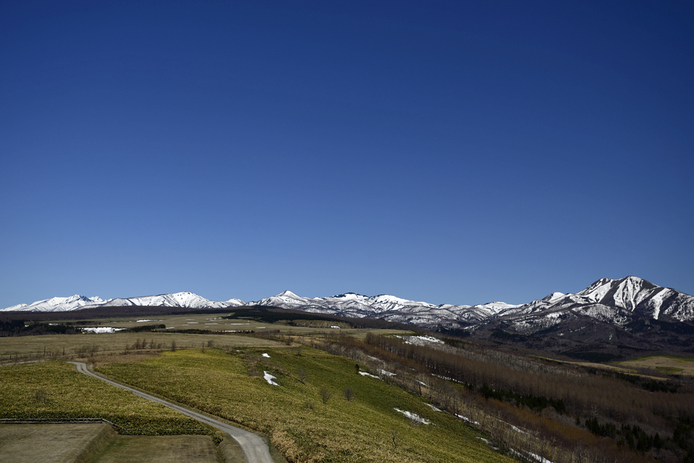 c0221838_6554865.jpg