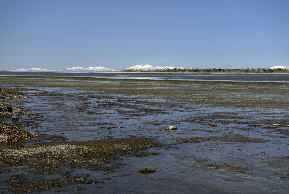 c0221838_657029.jpg