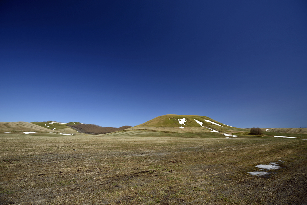 c0221838_742917.jpg