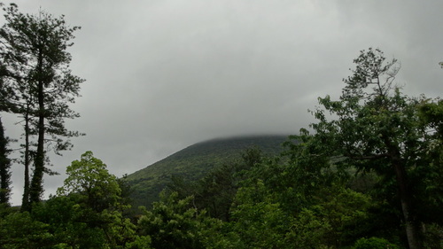a0289641_105164.jpg