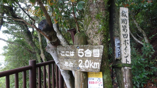 a0289641_10525441.jpg