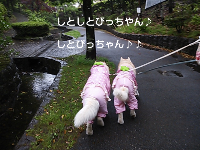 e0121548_188559.jpg