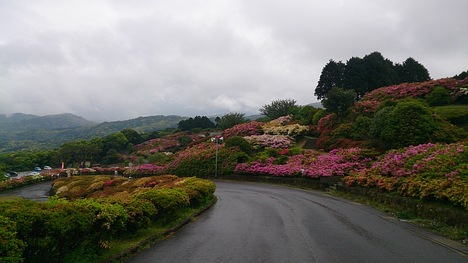 e0169149_21371427.jpg