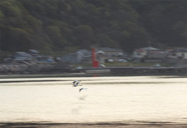 f0214649_13571078.jpg