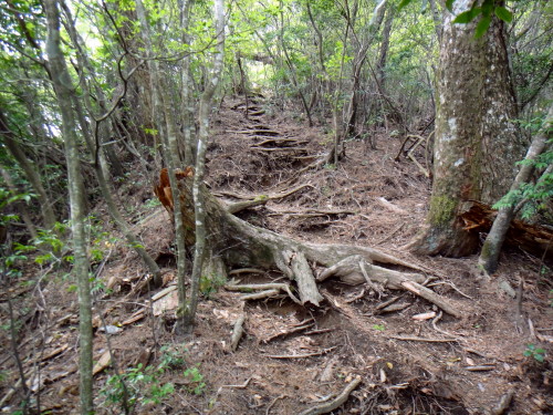c0179351_8582086.jpg
