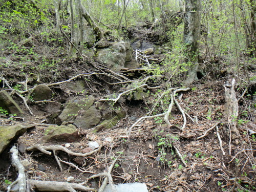 c0179351_8584394.jpg
