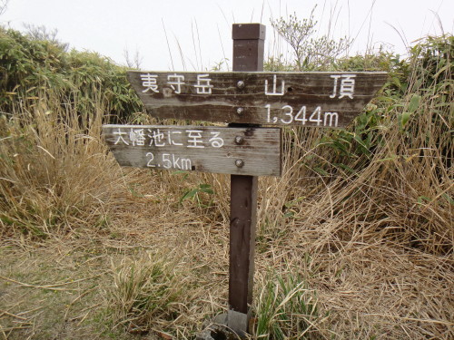 c0179351_93499.jpg