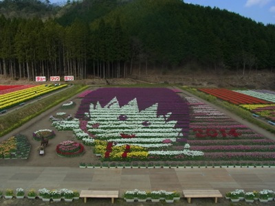 f0050651_2248472.jpg