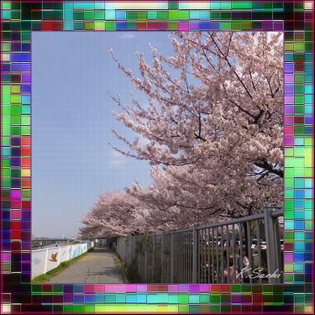 b0133752_17282619.png