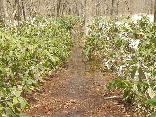 e0004756_20565620.jpg