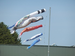 e0004756_2115516.jpg