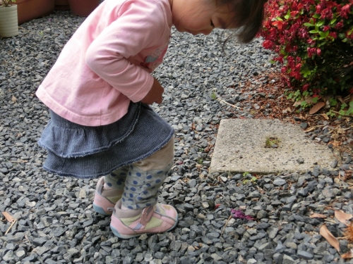 c0328559_2048728.jpg