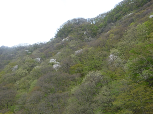 e0298866_2248716.jpg