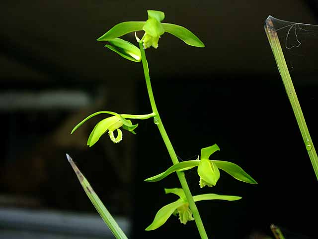 c0068168_104460.jpg