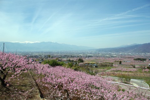 e0045768_21383666.jpg