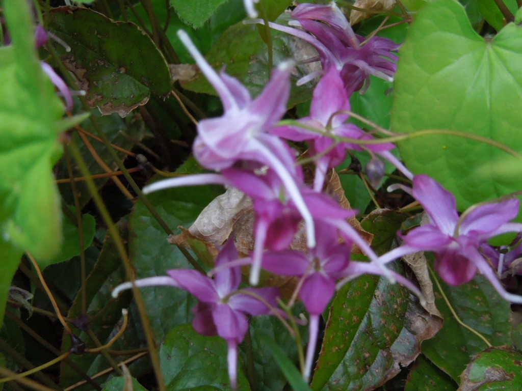 e0107171_921454.jpg