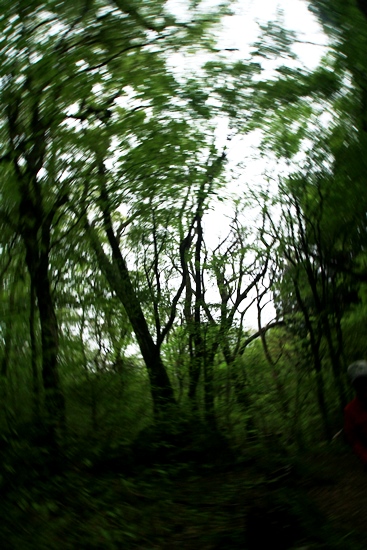 d0126577_21312131.jpg