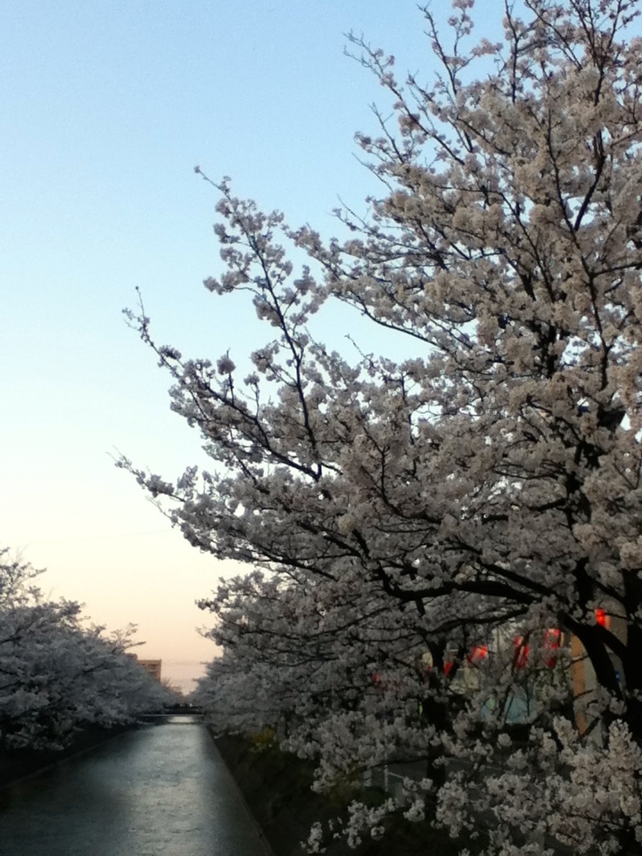 b0174079_044814.jpg