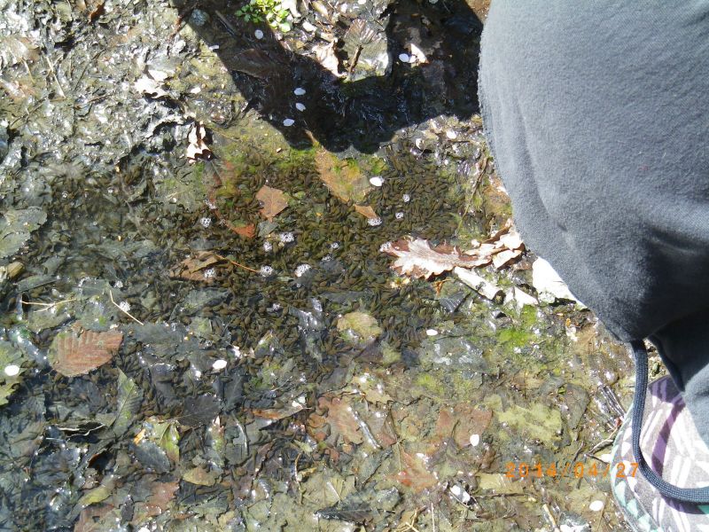 c0145582_9201452.jpg