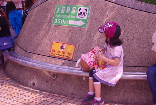 c0182782_9165053.jpg