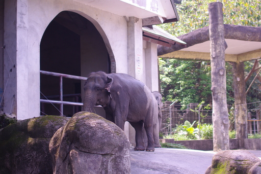 c0182782_9231663.jpg
