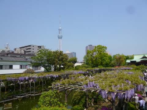 c0310987_09463897.jpg