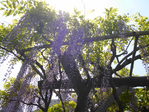 c0310987_09475938.jpg