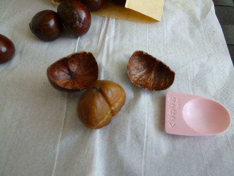 c0310987_09485724.jpg