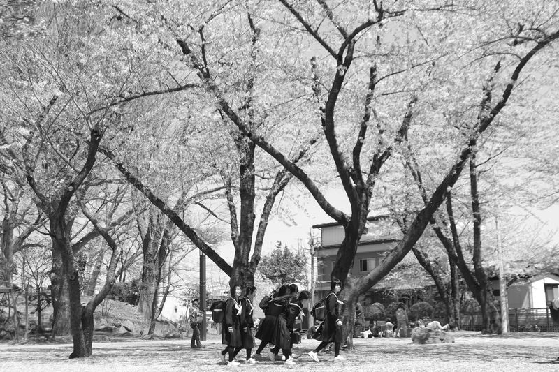 d0027893_21193495.jpg