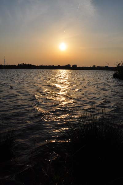 d0256494_22223014.jpg