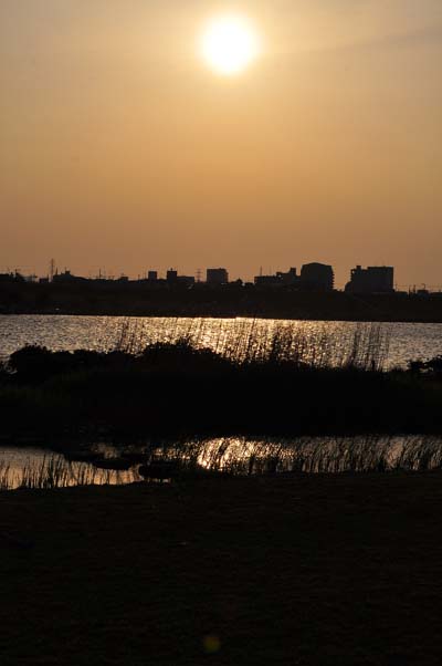 d0256494_2222462.jpg