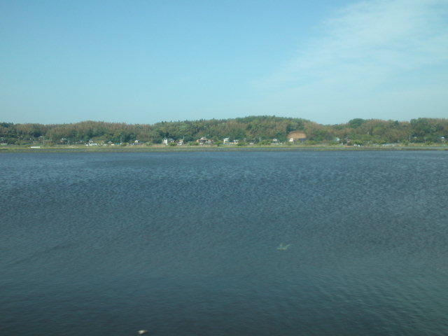 a0185007_16234483.jpg