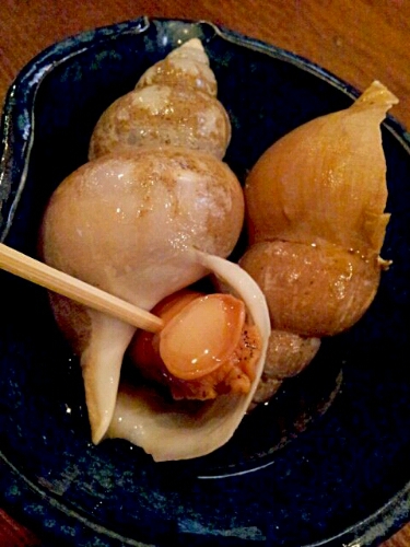 a0183009_8391542.jpg