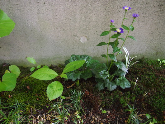 c0103119_16382866.jpg
