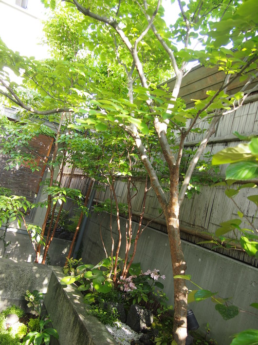c0103119_16443814.jpg